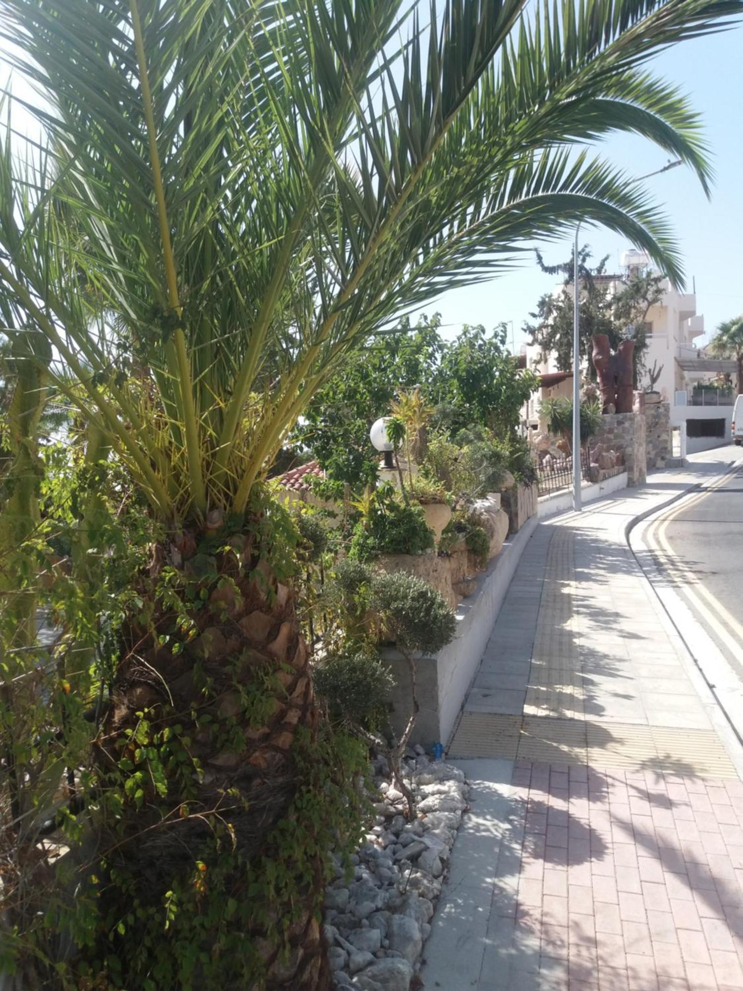 Greenfields Country Club Limassol Ngoại thất bức ảnh
